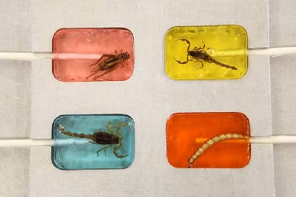 10 mon an vat tu con trung cuc la tren the gioi-Hinh-2