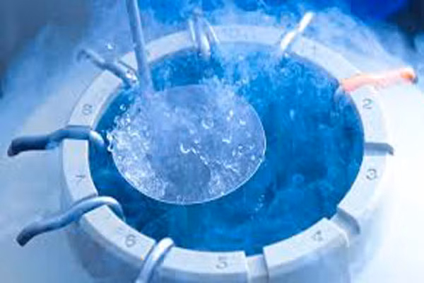  Kỹ thuật đông lạnh trứng đã được cải thiện hơn xưa. Tế bào trứng chứa rất nhiều nước, vì vậy khi chúng đông lạnh, có thể hình thành các tinh thể làm tổn hạo đến cấu trúc của chúng. Vì lý do này, kỹ thuật trứng đông lạnh trong quá khứ đã không thành công như hiện tại và chúng được sử dụng hầu hết cho những phụ nữ bị ung thư hay điều kiện bệnh tật khác. Với kỹ thuật mới là thủy tinh hóa, đóng băng tế bào trứng rất nhanh khiến cho các tinh thể không thể hình thành, trứng của người phụ nữ vẫn nguyên vẹn như hồi họ còn trẻ.