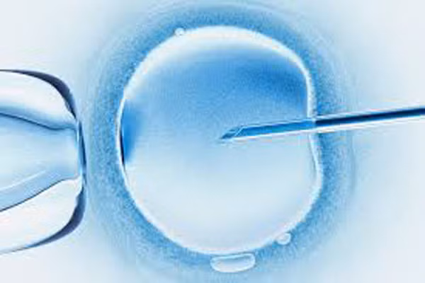 Tuy nhiên, họ khuyến cáo những phụ nữ muốn dùng phương pháp này để trì hoãn việc sinh con là không nên. Với mục đích này, các cặp vợ chồng sẽ phải đối mặt với những rủi ro về độ tuổi, chi phí không hề rẻ, sự an toàn và hiệu quả cũng không phải luôn đạt tuyệt đối.