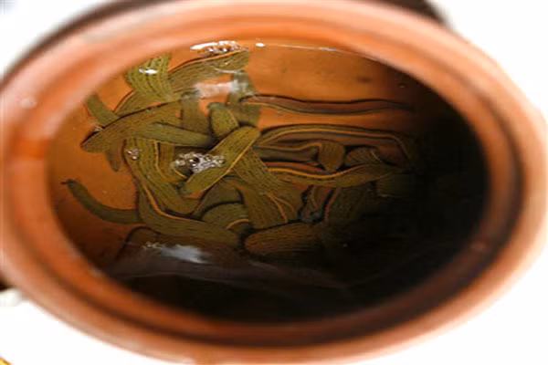 Đỉa (tên khoa học Annelida) là sinh vật thuộc ngành giun đốt sống dưới nước có thân mềm và nhầy. Thức ăn của đỉa là máu các loại động vật và con người. Miệng đỉa có giác hút để châm và hút máu con mồi. Đỉa tiết ra chất chống đông máu nên vết chích sẽ bị chảy máu liên tục.