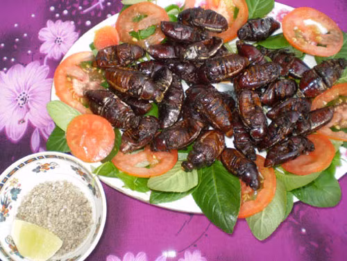  Bọ rầy Bảy Núi. Bọ rầy được xem là món ăn độc đáo của người dân vùng Bảy Núi, An Giang. Nó cũng trở thành nguồn cảm hứng ẩm thực của nhiều quán nhậu. Bọ rầy có hình dạng giống bọ hung, to cỡ ngón tay cái, màu nâu cánh gián. Ảnh: congan