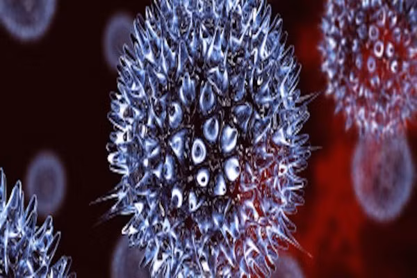 Các tế bào bắt đầu trở nên bất thường ở giai đoạn đầu này. Một tế bào ung thư phát triển nhanh có thể tăng gấp đôi trong 1-4 tuần, chậm hơn là 2-6 tháng tùy thuộc theo từng loại tế bào. Ở người lớn, cần thời gian dài để tế bào ung thư phát triển nhưng ở trẻ em thì ngắn hơn.