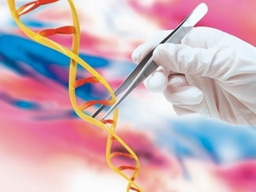 Sự thay đổi này được gọi là đột biến gen. Đột biến có thể ảnh hưởng đến cấu trúc của gen và ngăn không cho nó làm việc đúng cách. Mỗi tế bào có khả năng phát hiện những thay đổi trong DNA và sửa chúng trước khi chúng được truyền tới các tế bào mới. Nhưng đôi khi tế bào thực hiện việc sửa chữa không thành công mà vẫn không bị đào thải.