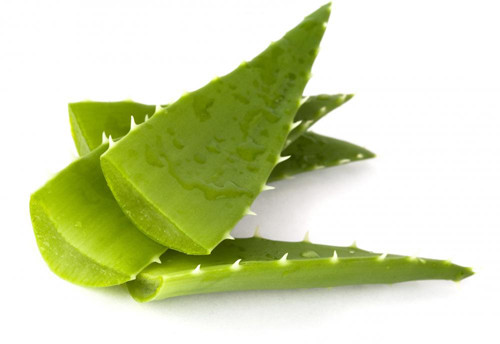 Nha đam tươi ép lấy nước cốt. Dùng bông mịn lọc kỹ dung dịch. Trộn hỗn hợp trứng gà, nước ép nha đam, nước ép dưa chuột và đường đỏ đánh kỹ. Thêm một chút bột mỳ vào hỗn hợp để tạo thứ hồ dính. Thoa đều hồ này lên vùng mụn. Khoảng 30 phút thì rửa lại bằng nước sạch. Ảnh: collagenvh