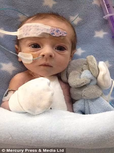 Điều khiến ta khâm phục là bé chỉ mới 15 tháng tuổi. Thật sự, cậu bé là một tấm gương chiến đấu quật cường.