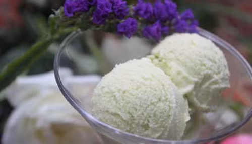 Cho hỗn hợp trứng, sữa và lá dứa vào nồi đun cách thủy. Khuấy cho đến khi hỗn hợp sánh lại. Lọc bỏ lá dứa ra ngoài. Cho kem vào âu và để vào ngăn đá. Khoảng 30 phút lại lấy kem ra đảo đều. Khi kem lá dứa thơm mùi lúa là có thể ăn được. Ảnh: bepgiadinh