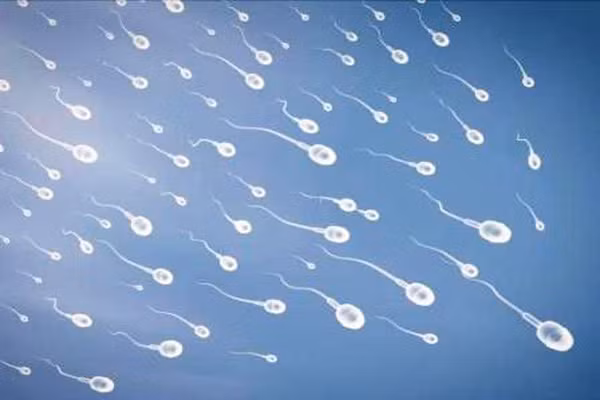 6. Ngửi được mùi tinh dịch dù đã khô lâu ngày. Dịch vụ tình báo của Anh thời xa xưa đã dùng một loại mực vô hình bằng tinh dịch để viết thư tuyệt mật. Loại mực đặc biệt này không phản ứng với bất kỳ sự thử nghiệm hóa học nào. Thế nhưng, một phóng viên “thính” mũi đã phát hiện ra khi anh ngửi thấy mùi bất thường.