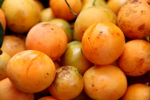 Sườn non nấu thanh trà là món canh giải nhiệt có vị chua dịu, thơm ngon rất hợp trong bữa cơm ngày hè nóng nực. Quả quả gần giống quả chanh, vỏ màu xanh, khi chín có màu vàng cam bóng láng, có vị chua, ngọt hấp dẫn. Ảnh: amthuc365