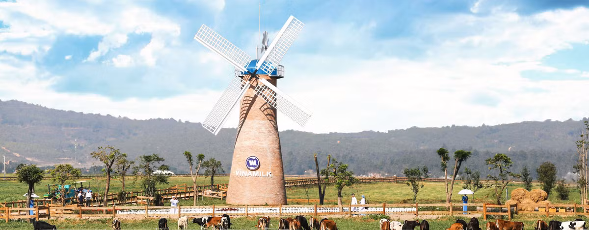 Can canh trang trai bo sua organic tieu chuan chau Au cua Vinamilk-Hinh-11