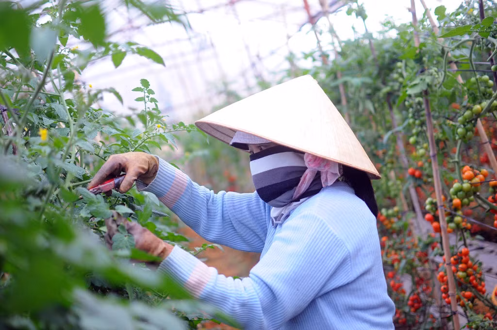 Vingroup ky thoa thuan hop tac voi 500 ho san xuat