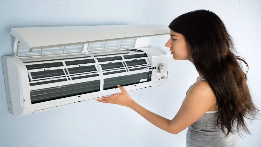 Khong ngo ngang, chi xot ruot thoi!-Hinh-2