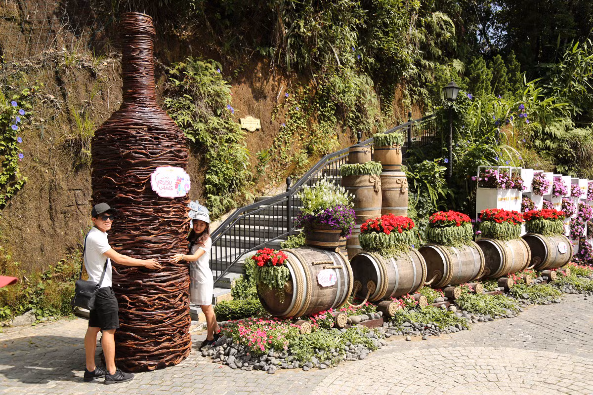 Du khach dua ep nho tai Le hoi vang Sun Word Ba Na Hills-Hinh-3