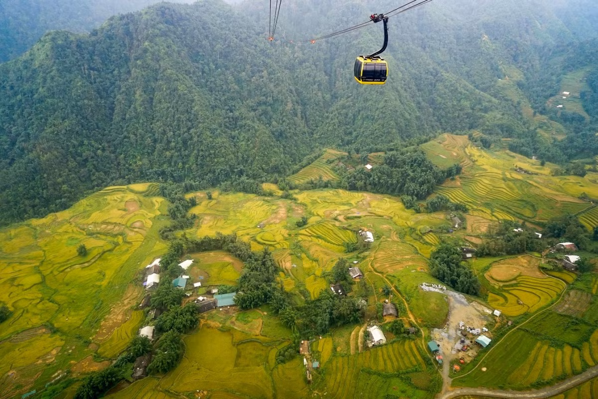 Chiem nguong ve dep hut hon cua thung lung Muong Hoa mua lua chin