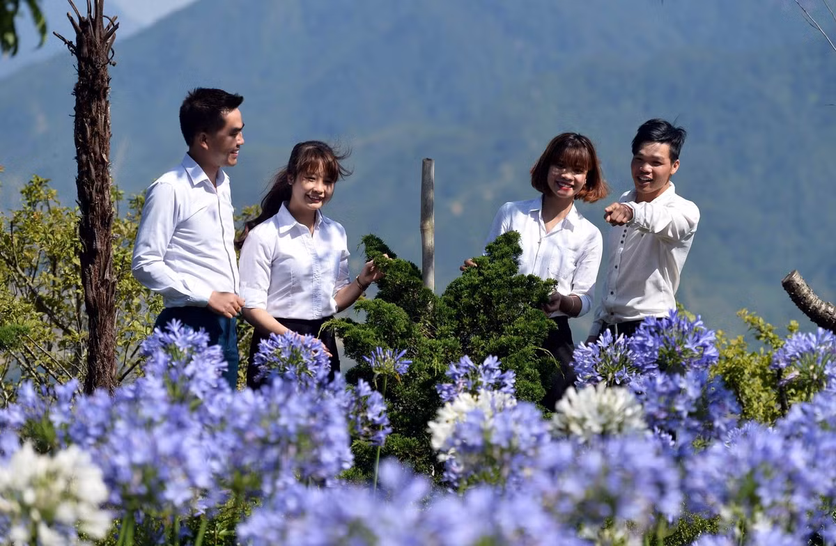 Len Sun World Fansipan Legend ngam rung hoa mua ha khoe sac-Hinh-5