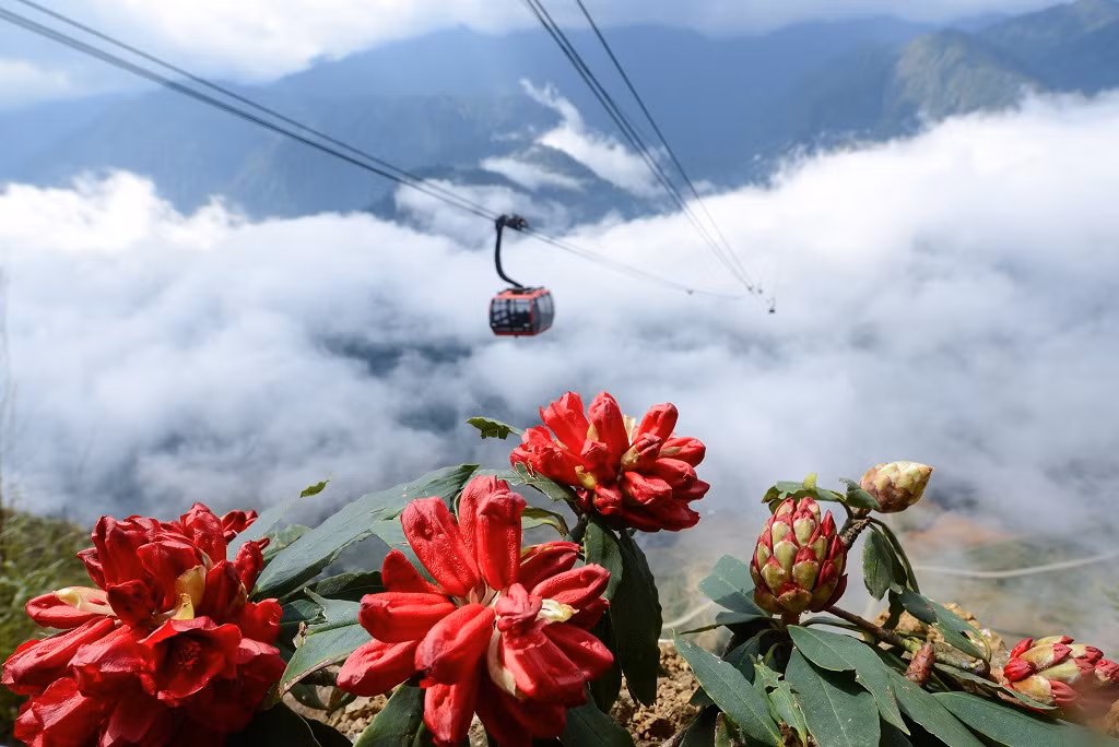 Cac diem vui choi khong the bo qua dip 30/4-Hinh-4