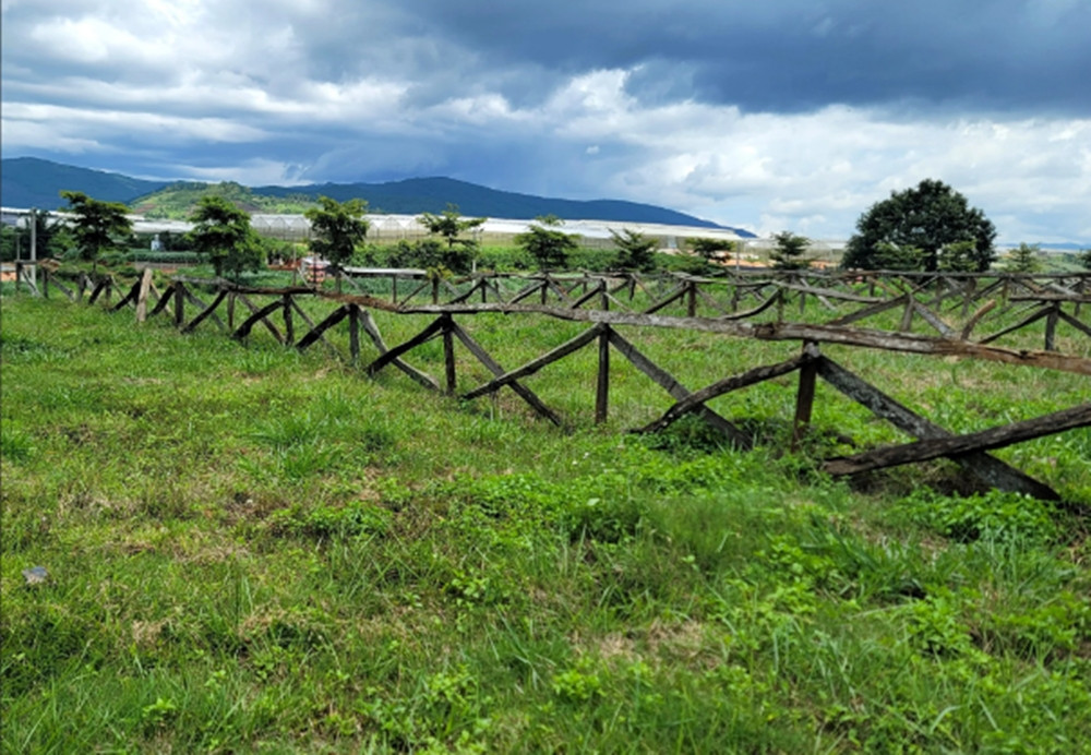 Các lô đất đã được phân chia, làm ranh giới bằng hàng rào gỗ tạp. Trên nhiều trang mạng xã hội, giá đất tại đây được rao bán trong năm 2022 từ 2,8 đến hơn 3 tỷ đồng/lô. (Ảnh: Người lao động).