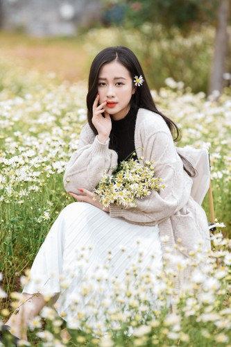 Công nhân chăm sóc đều đặn mỗi ngày. Cúc họa mi dễ chăm sóc hơn các loài hoa khác vì vốn nó là hoa mọc dại nên sức sống rất tốt.