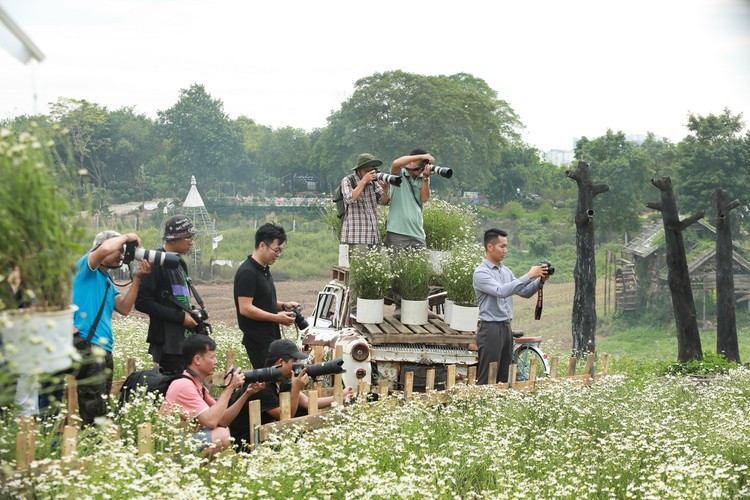 Đây là địa điểm cúc họa mi nở sớm nhất Hà Nội nên rất đông những thợ ảnh và người yêu hoa đã có mặt vào những ngày cuối tuần.