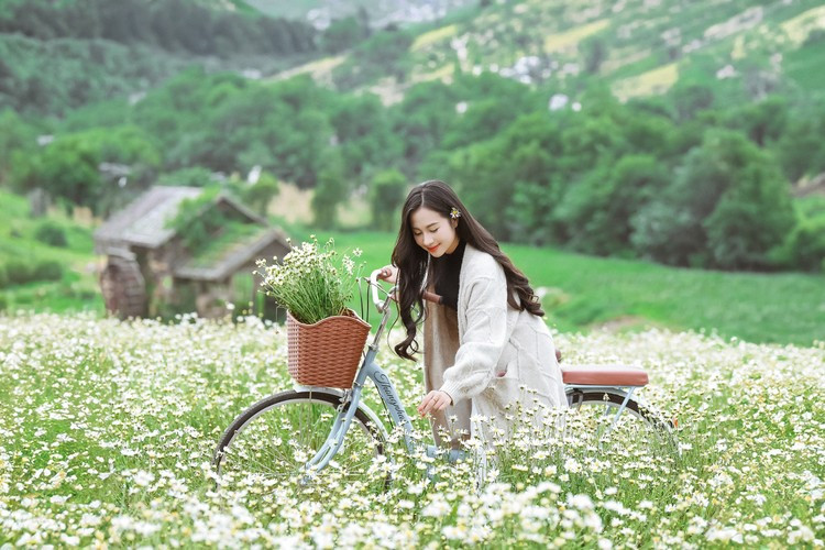 Năm nay chủ vườn không còn trồng luống mà trồng theo bạt để cảnh rộng hơn và góc chụp đẹp hơn.