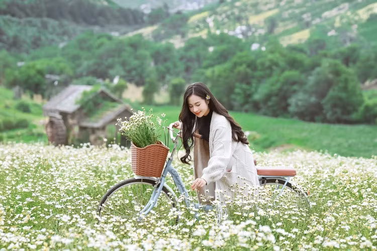 Năm nay chủ vườn không còn trồng luống mà trồng theo bạt để cảnh rộng hơn và góc chụp đẹp hơn.