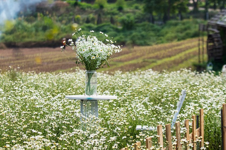 Rất nhiều góc chụp đã được tạo ra tại đây để phục vụ nhu cầu chụp hình của khách hàng.