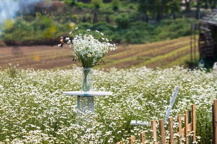 Rất nhiều góc chụp đã được tạo ra tại đây để phục vụ nhu cầu chụp hình của khách hàng.