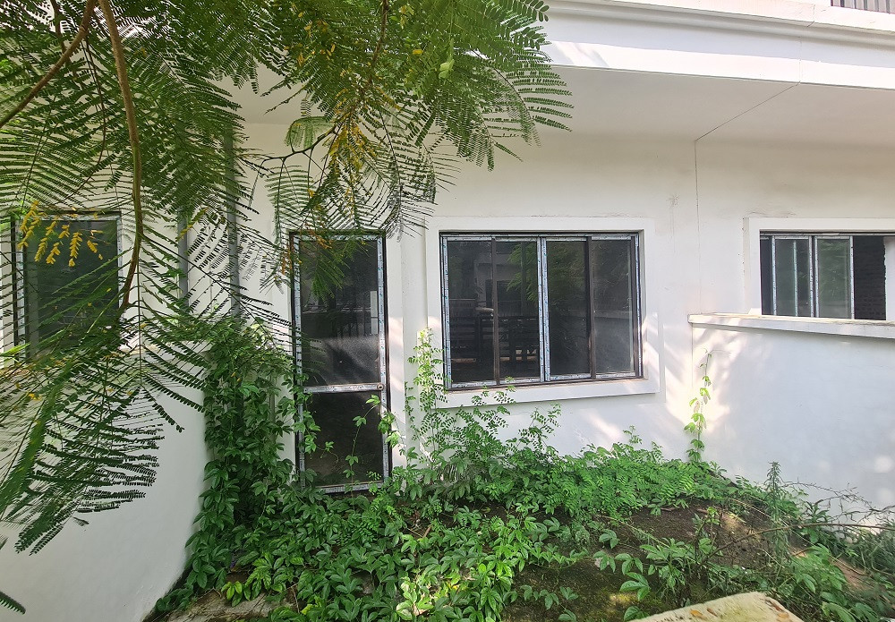 Cỏ dại mọc khắp nơi, gần như che kín cổng của căn nhà.