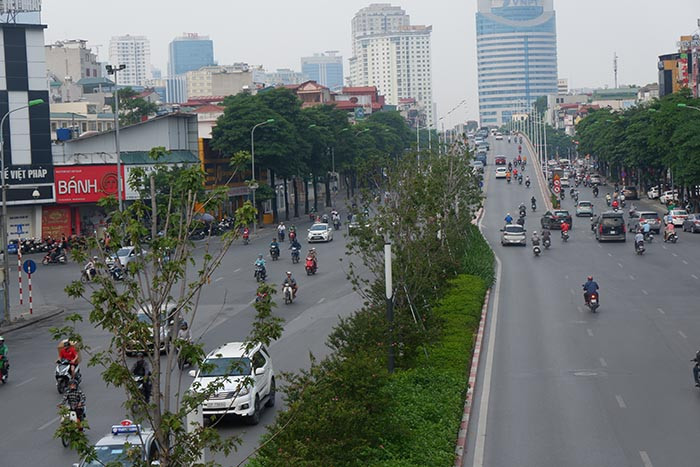 Phong la do o Ha Noi khong doi mau, chet heo sau gan 2 nam trong-Hinh-2