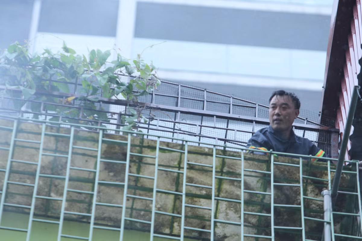 Những hình ảnh các chiến sĩ PCCC vật lộn với cơn mưa lớn để khống chế đám cháy.