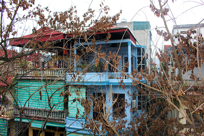 Nghi bị đầu độc bằng hóa chất đổ bên dưới gốc cây, người dân tại khu tập thể đã cùng nhau đào đất ở phần gốc xung quanh và tưới nhiều nước giúp cho cây khử độc.