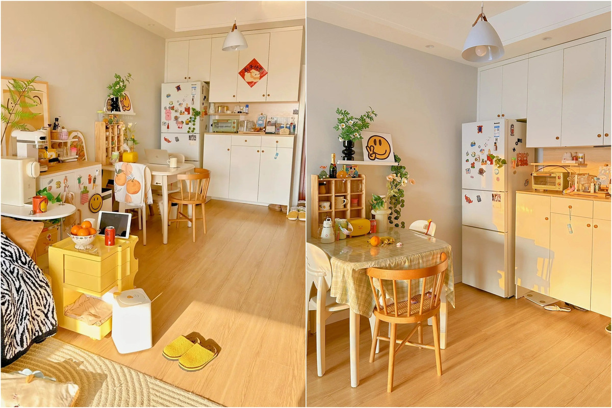 Căn hộ 47m2 ấm cúng "cưng xỉu" của cô gái trẻ - Hình 3 Can ho 47m2 am cung