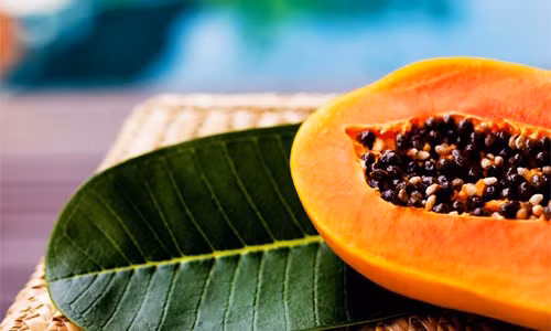 Đu đủ có thể coi là “thần dược”, bởi nhiều bộ phận của cây đu đủ không những được dùng làm thức ăn mà còn được dùng làm thuốc chữa nhiều bệnh.Tuy nhiên sẽ không lường hết được tác dụng phụ của đu đủ chín trong các trường hợp sau: Đu đủ có thể coi là “thần dược”, bởi nhiều bộ phận của cây đu đủ không những được dùng làm thức ăn mà còn được dùng làm thuốc chữa nhiều bệnh.Tuy nhiên sẽ không lường hết được tác dụng phụ của đu đủ chín trong các trường hợp sau: