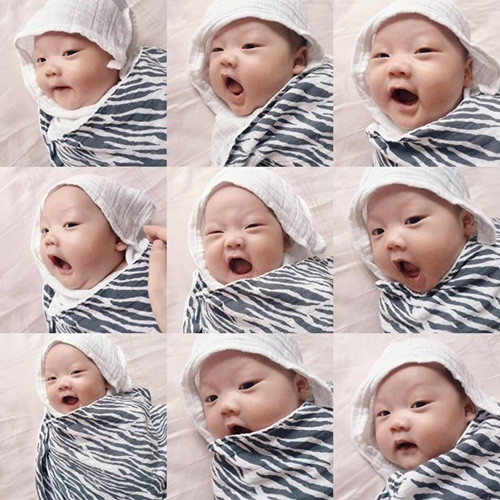 Nhin lai chuyen tinh“'chieu tro” cua Mac Hong Quan va Ky Han-Hinh-5