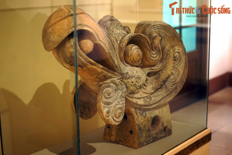 Ngam chim phuong tren cac co vat cung dinh tuyet my Viet Nam