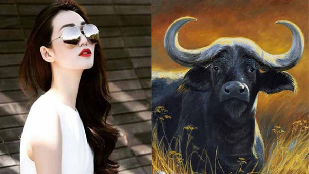 Không phải đang “quăng tiền qua cửa sổ”, chỉ là bạn thực sự muốn thưởng thức cuộc sống của mình theo cách mới vì bạn biết bản thân có thể chi trả cho việc đó trong khoảng thời gian ngắn này và việc bỏ ra một số tiền lớn đó hoàn toàn xứng đáng với những nỗ lực cho công việc trong cả năm vừa qua.