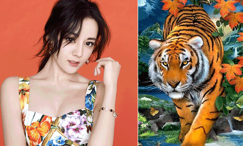 Không những thế, tuổi Dần sẽ gặp được cơ hội tốt giúp họ làm giàu. Việc cần làm nhất là tuổi Dần cần phải tỉnh táo quan sát xung quanh, nắm bắt đúng thời ca và tiến về phía trước, dự kiến cuối năm sẽ tạo dựng được khối tài sản đáng mơ ước.