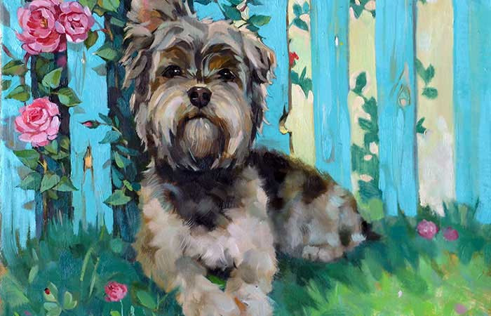 Tuổi Tuất: Trong số những con giáp đắng cay trước, ngọt bùi sau thì không thể thiếu tên người tuổi Tuất.