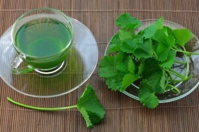 Nhiều nghiên cứu chứng minh, rau má có khả năng sản xuất ra các chất collagen trong mô sẹo, phát triển, thúc đẩy quá trình tái tạo, làm dịu, chữa lành những vết sẹo do côn trùng cắn hay bỏng để lại.