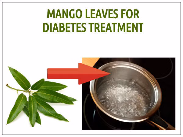 Lá xoài rửa sạch, để ráo nước, đem cắt sợi, rồi cho vào cốc sạch. Sau đó, đổ 300ml nước sôi vào, đậy nắp kín và để qua đêm. Mỗi sáng, uống hết ly nước lá xoài trên, dùng thường xuyên và liên tục để cho kết quả tốt nhất.