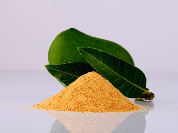 Bạn cũng có thể phơi khô lá xoài, sau đó xay thành bột, uống 1/2 thìa cafe bột lá xoài này với nước vào mỗi buổi sáng và tối để trị bệnh tiểu đường.