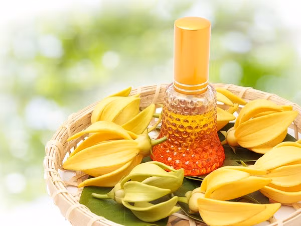Tinh dầu hoa Ylang Ylang. Tinh dầu loại hoa này dành cho những ai yêu mùi hương ngọt ngào. Tinh dầu hoa Ylang Ylang được xem là một loại nước hoa tuyệt vời, lưu giữ mùi hương khá bền.