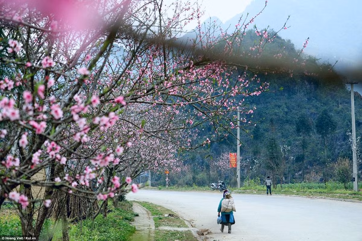 Nhiệt độ hiện tại ở Hà Giang khá lạnh khoảng 22 độ vào buổi trưa. Rất lạnh vào đêm và sáng làm cho khung cảnh ở Hà Giang thêm đượm tình.