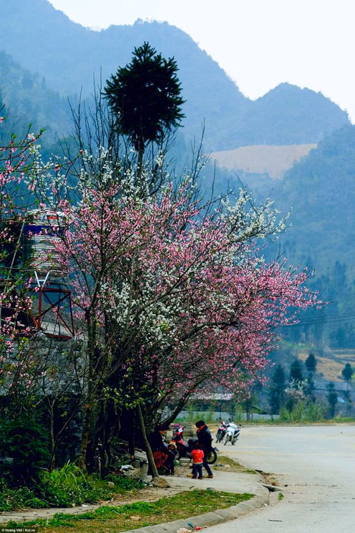 Những hình ảnh xinh đẹp ở thôn Lao Xa - xã Sủng Là (Đồng Văn, Hà Giang):