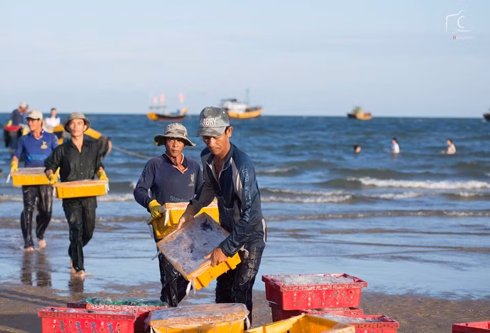 Ngoài tắm biển, thưởng thức hải sản, bạn đừng bỏ qua trải nghiệm chợ cá buổi sáng cũng như tìm hiểu đời sống của người dân.