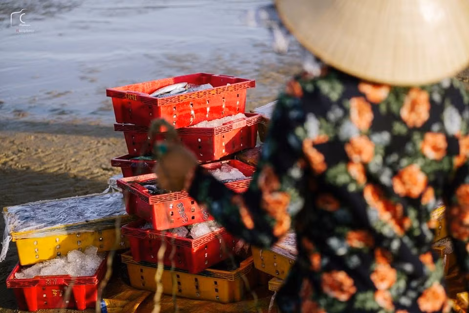 Sau khi cập bến, cá được vận chuyển lên bờ để người nhà mang ra chợ.