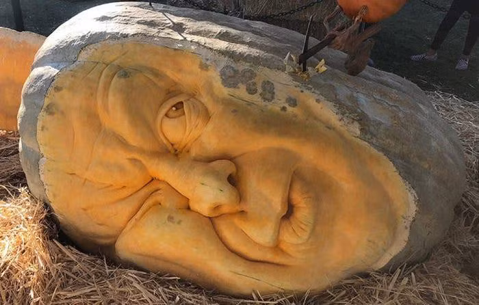 Đèn bí ngô nặng nhất thế giới (Mỹ): Đèn bí ngô nặng nhất thế giới (Mỹ): Đèn bí ngô nặng nhất thế giới (Mỹ): Đèn bí ngô Jack-o'-Lantern nặng nhất thế giới với cân nặng xấp xỉ 942 kg đã được ghi nhận vào ngày 6/10/2018 tại khu dịch vụ cộng đồng Cosumnes, Elk Grove, California, trong lễ hội bí ngô khổng lồ Elk Grove lần thứ 24. Quả bí ngô khổng lồ này được trồng bởi Josiah Brandt và Mike Brown, Deane Arnold, Brandy Davis đã khắc khuôn mặt trên đó.