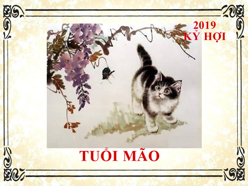 Tuổi Mão: Tuổi Mão đa số là những người hiền lành, kiệm lời, cẩn trọng trong ăn nói. Họ cũng rất thông minh, kiên nhẫn, sống kiên cường, mạnh mẽ, luôn hướng về tương lai.