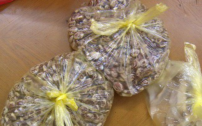 Đỗ ngự Hạ Long giá 2 triệu đồng/kg.