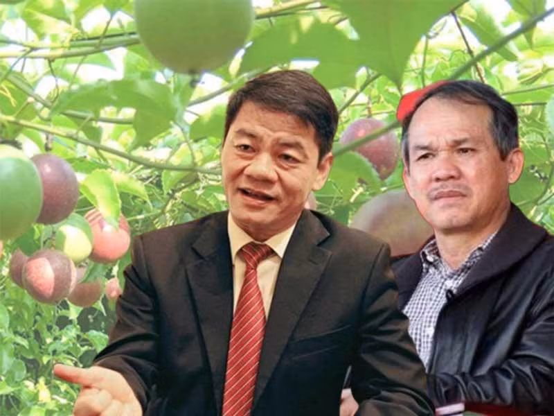 Ly do bau Duc lien tuc ban tai san