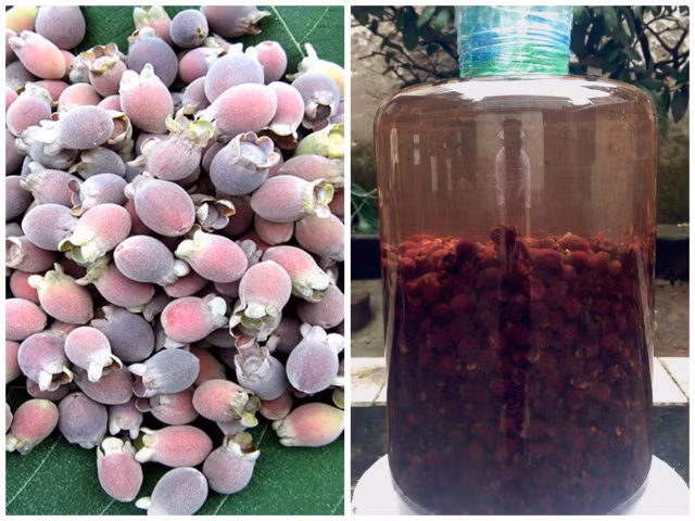 Den hen lai len, trai sim rung chiem linh thi truong ‘cho online’